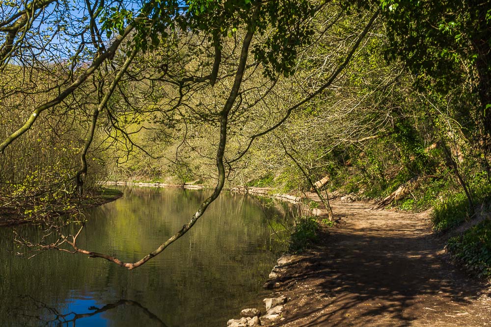 Miller's Dale